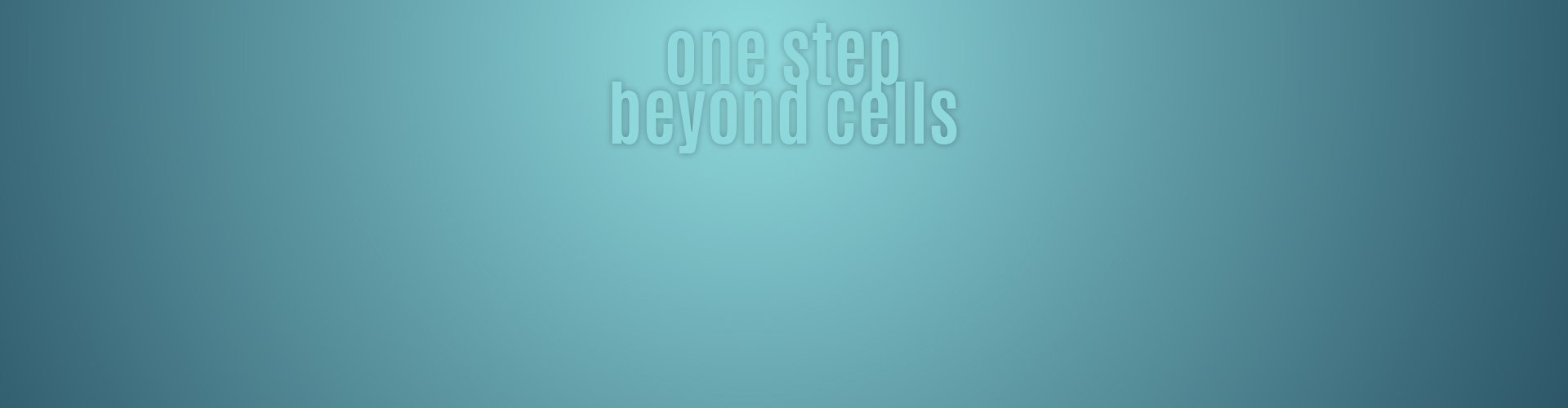 Excelsior hair removal banner